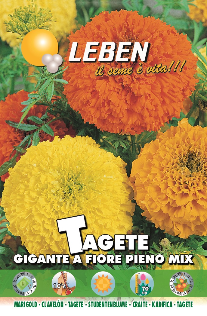 Tagete Gigante Seeds