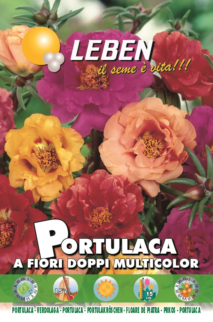 Portulaca 'A Fiori Doppi Multicolor' Seeds