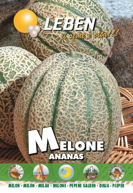 Melone Ananas Seeds