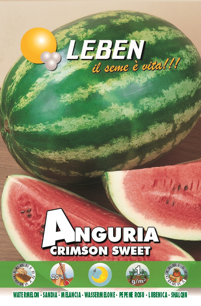 Anguria Crimson Sweet (Watermelon) Leben