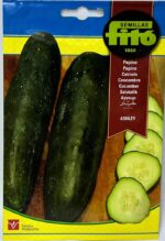 Ashley Cucumber Seeds