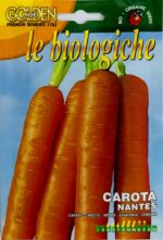 Carota Nantes (Nantes Carrot) Gold Line