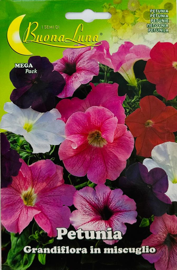 Petunia Grandiflora Mix Flower Seeds