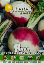 Rapa Tonda A Colletto Viola