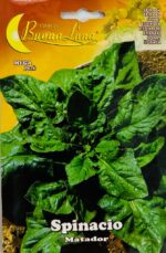 Spinacio Matador (Matador Spinach) Buona Luna