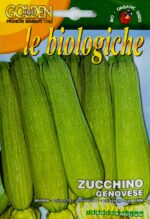 Zucchino Genovese