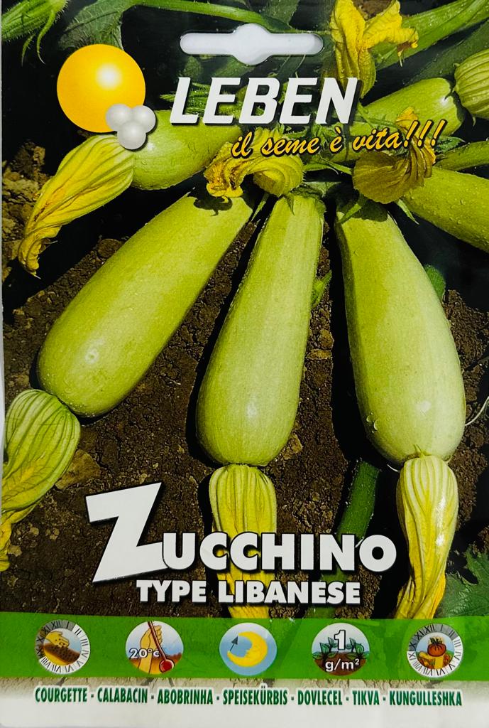 Zucchino Type Libanese