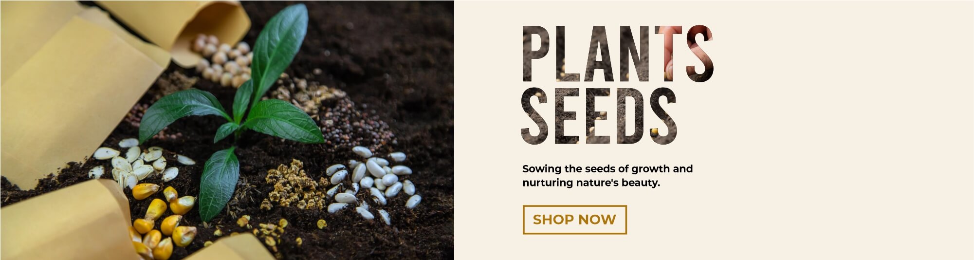 Seeds-banner