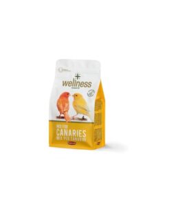 Wellness Canaries 1Kg - Padovan