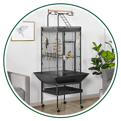 Best Bird Cage UAE