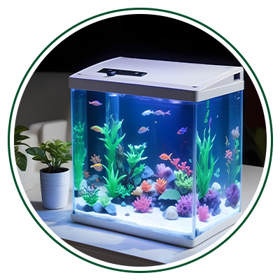 Best Fish Aquariums UAE