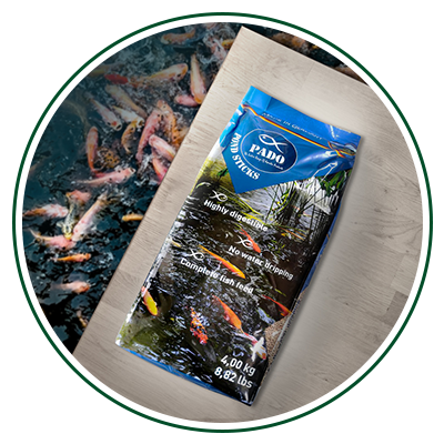 Best Fish Food UAE